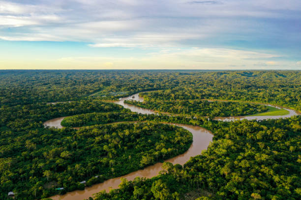 Imagen del paquete